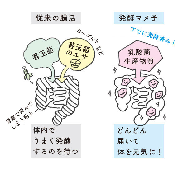 従来の腸活は体内でうまく発行するのを待つけど発酵マメ子はすでに発酵済みなのでどんどん届いて体を元気に